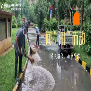 雨中堅守護家園，筑牢汛期安全墻