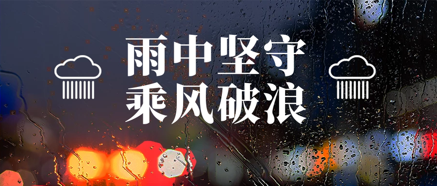 雨中堅守護家園，筑牢汛期安全墻(圖8)