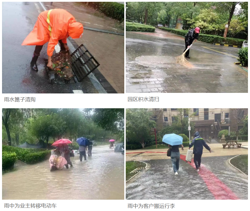 筑牢安全防線 | 隆泰物業(yè)全力開展防汛工作(圖10)
