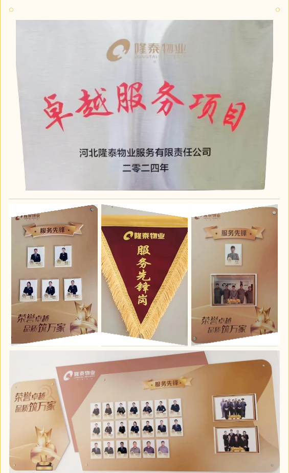 隆泰物業(yè) | 凝聚先鋒力量，彰顯責任擔當(圖5)